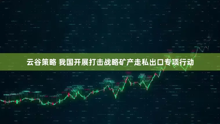 云谷策略 我国开展打击战略矿产走私出口专项行动