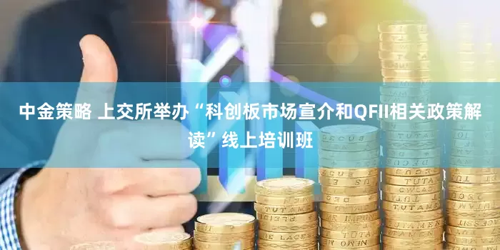 中金策略 上交所举办“科创板市场宣介和QFII相关政策解读”线上培训班
